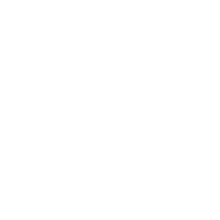 Ernst-Young